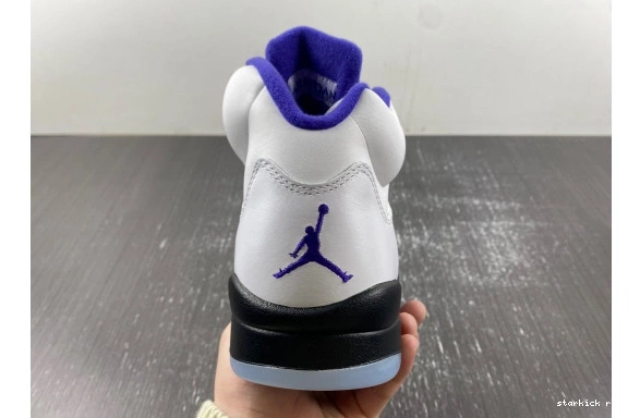 DD0587-141 Jordan Dark  Concord 5 Retro DD0587-141 1113